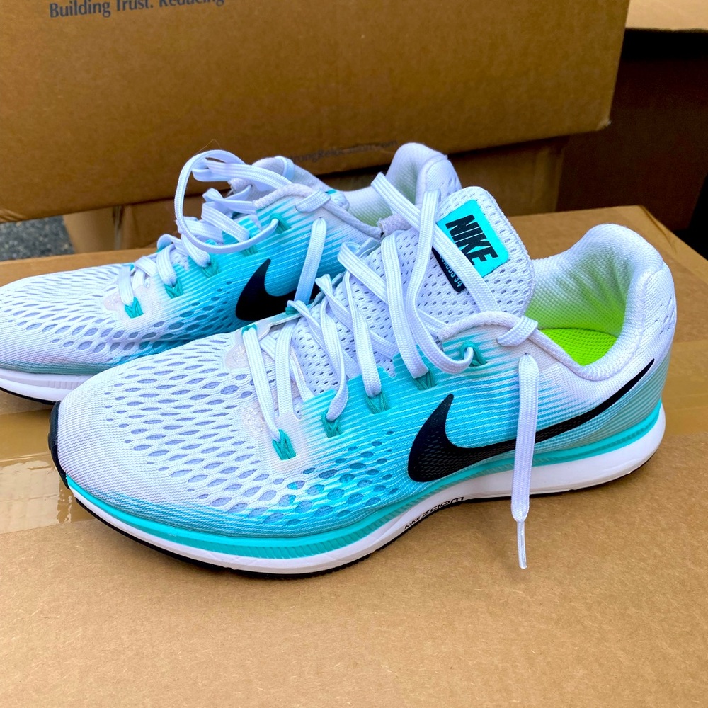 Nike Pegasus zoom